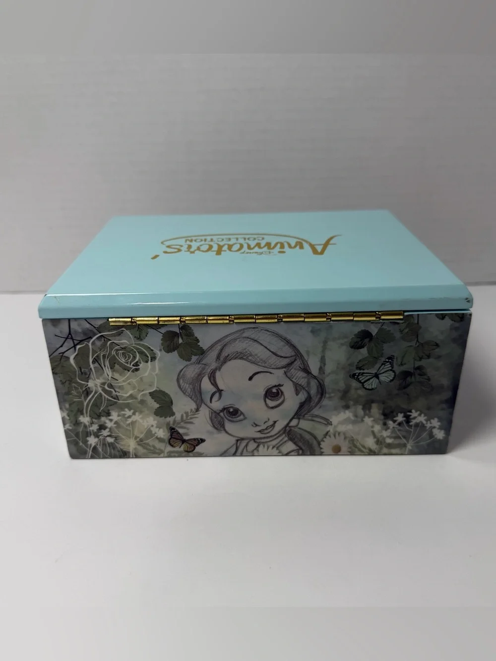 Disney Princesses Jewelry & Trinket Box
